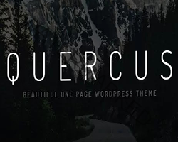 Quercus - Responsive One Page WordPress Theme Free